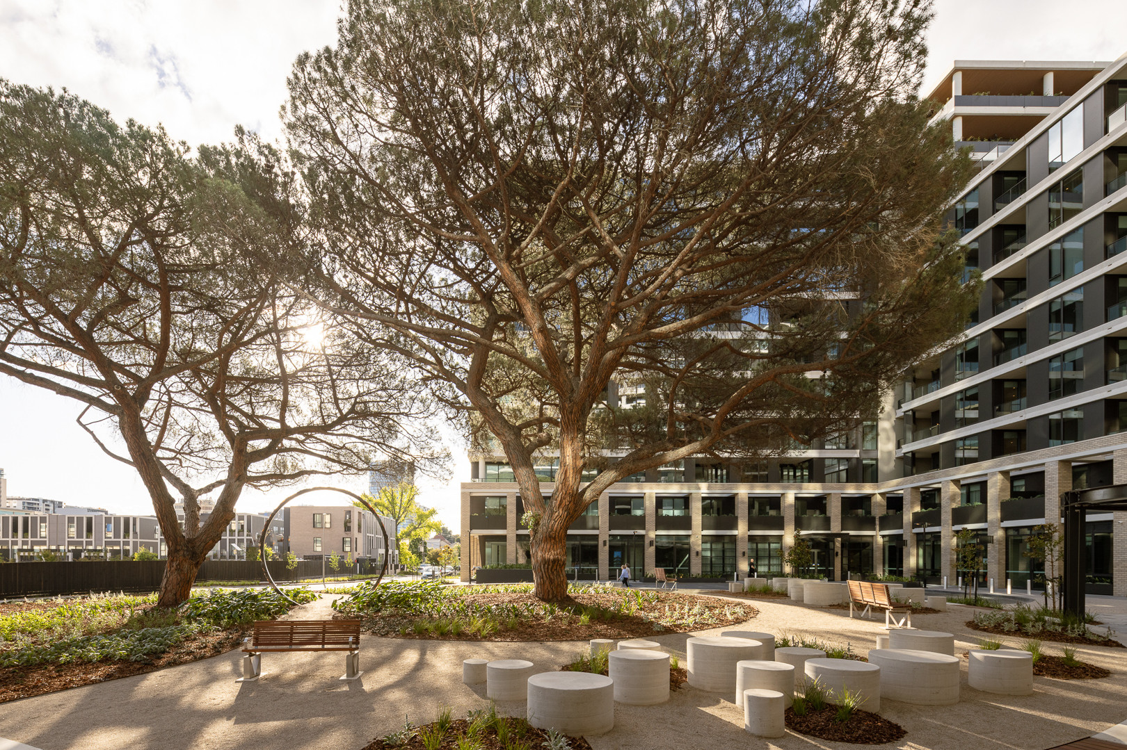 Completed Photography